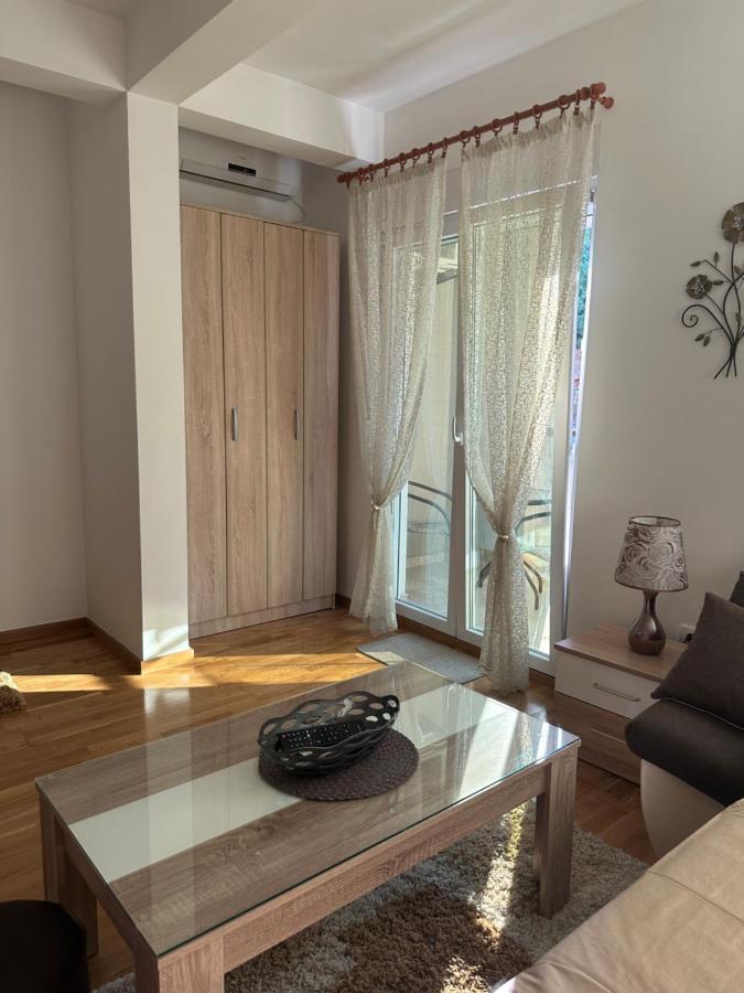 Kropa Apartman Podgorica Kültér fotó
