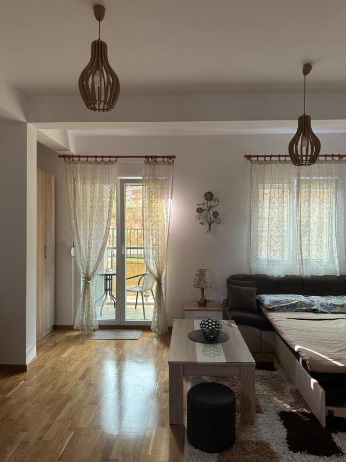 Kropa Apartman Podgorica Kültér fotó